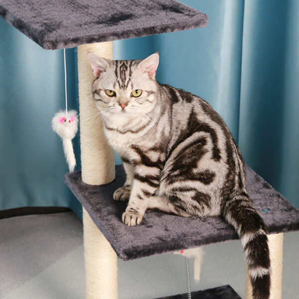 SE-PCT002 Cat tree6