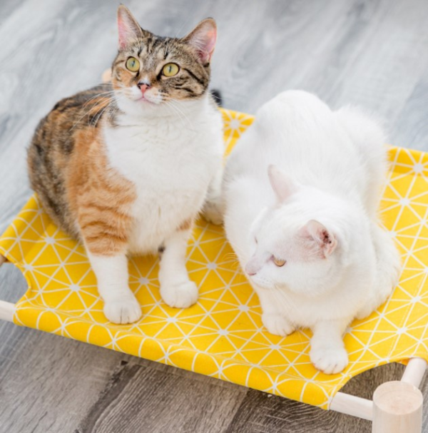 SE-PB005 Hout Kat en Hond Hangmat Bed (2)