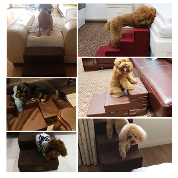 PB008 Escadas de espuma macia para animais de estimação (5)
