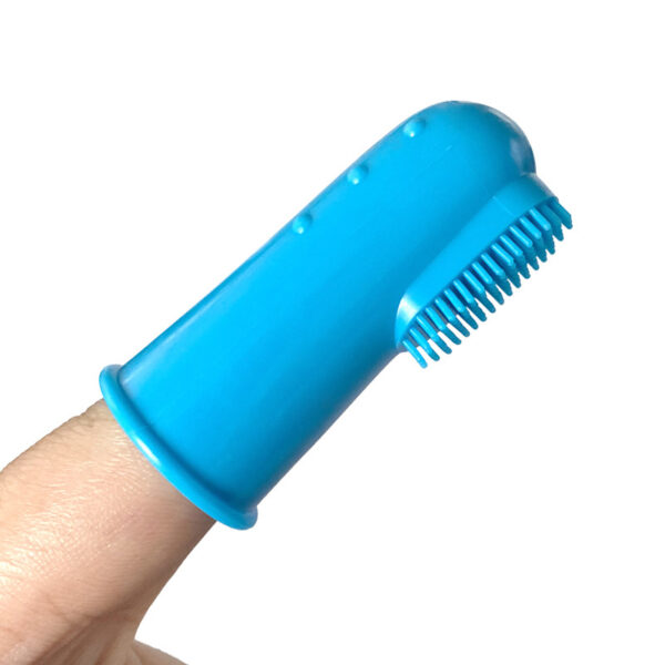 SE-PG040 PET toothbrush (3)