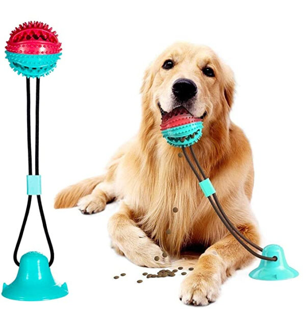 SE PT013 Suction Cup Dog CHEW Toys (8)