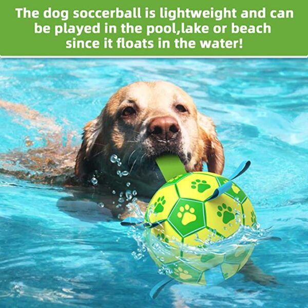 SE PT070 Dog Toys Soccer Ball (7)