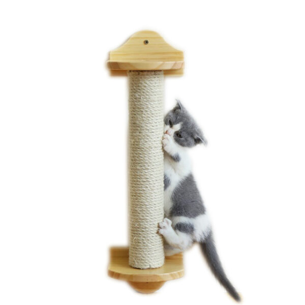 Cat Scratcher7