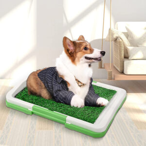 SE-PG101 Dog Potty Training Tray 1