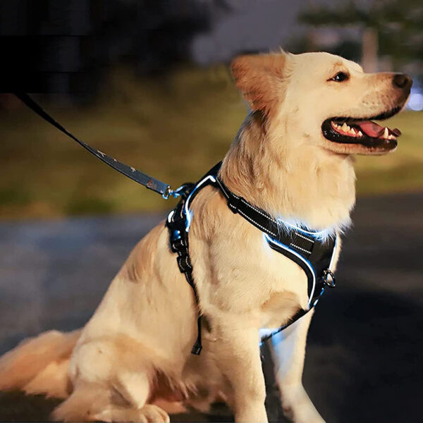 SE-PC002 USB Rechargeable Light Up Dog Harness 2