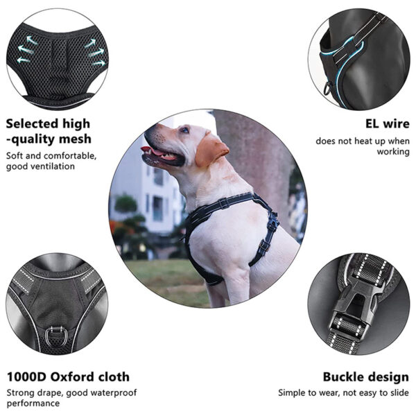 SE-PC002 USB Rechargeable Light Up Dog Harness 4