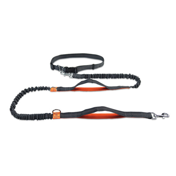 SE PCL047 PET LEASH (2)