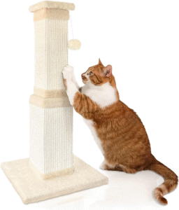 Post de rascado del gato