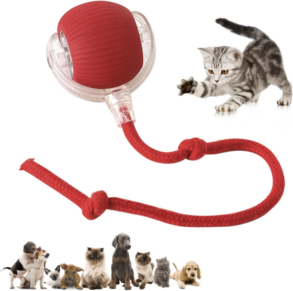 cat toy