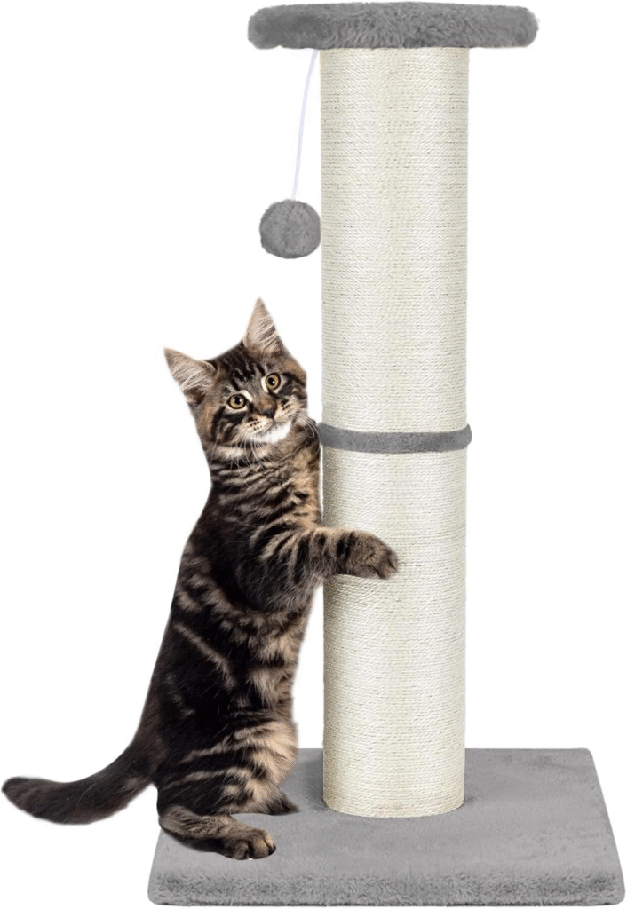 cat tree