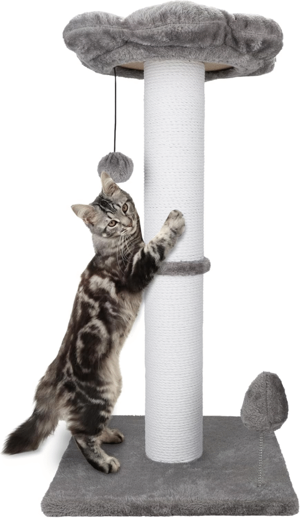 cat tree