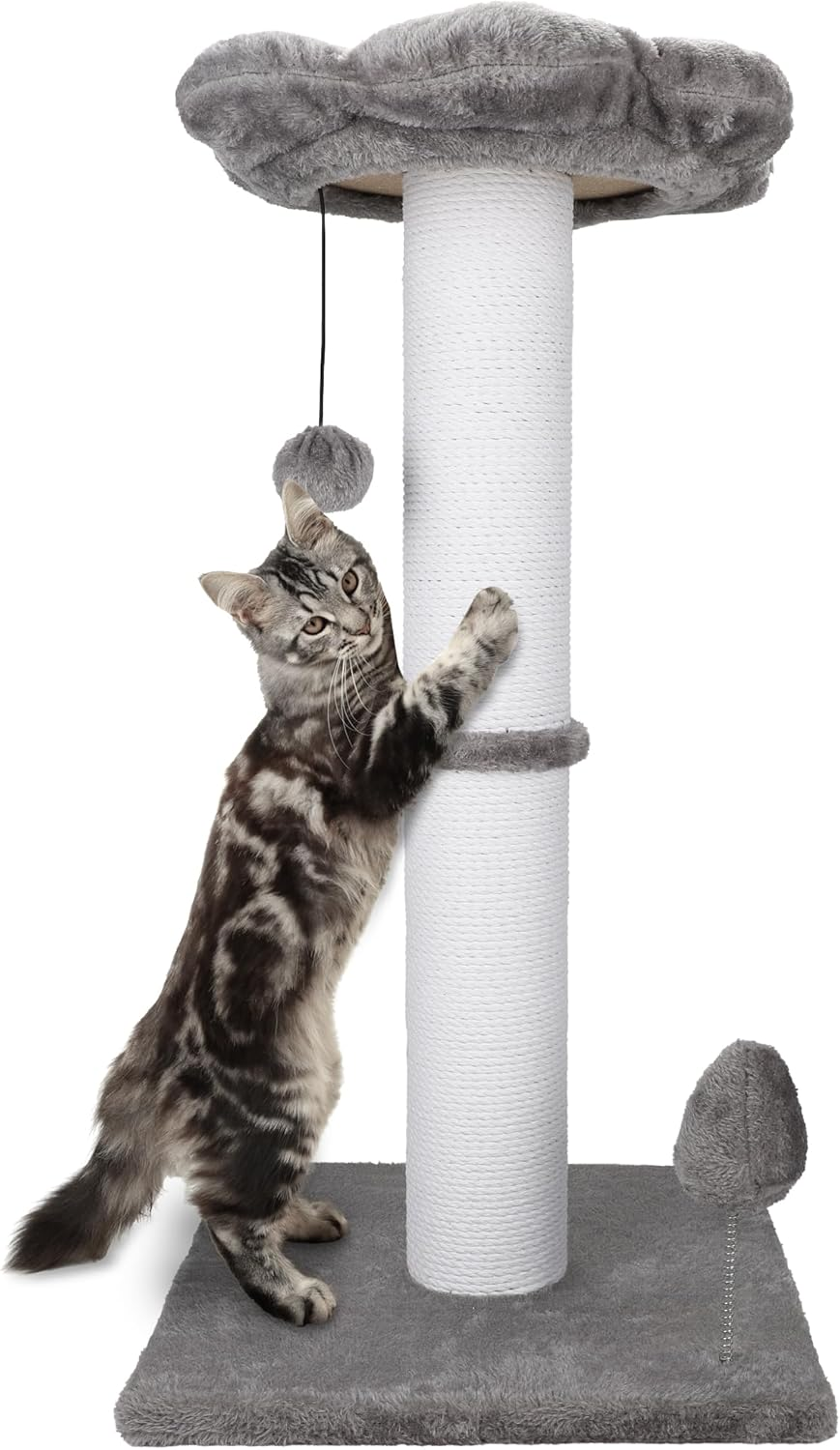 cat tree