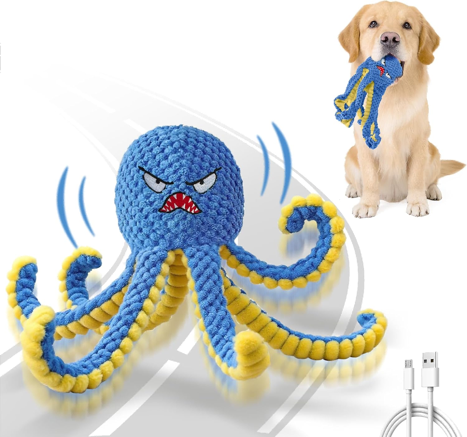 dog toy