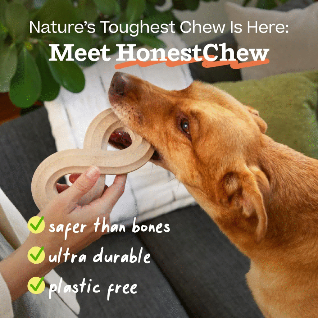 dog chew toy
