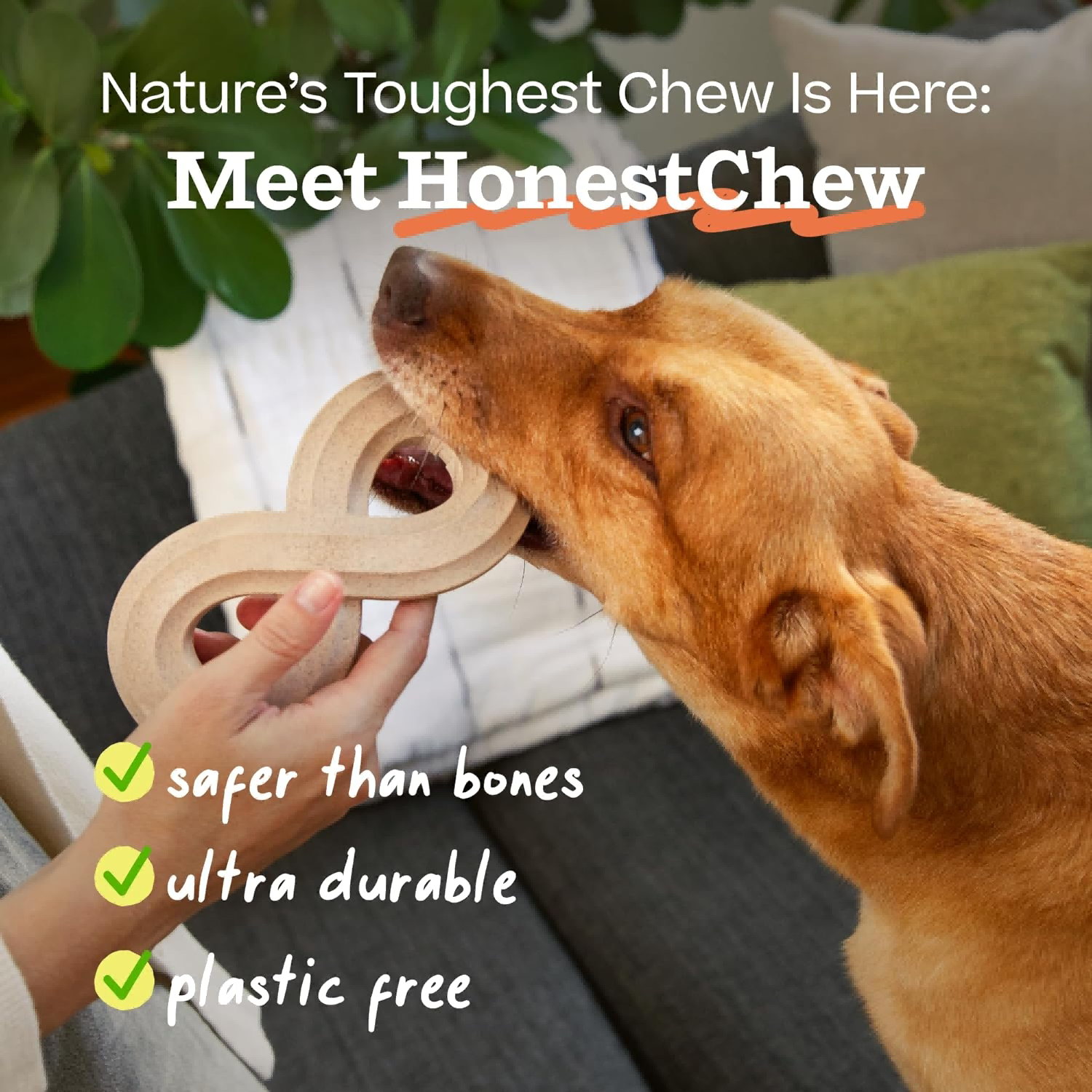 dog chew toy