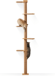 cat tree